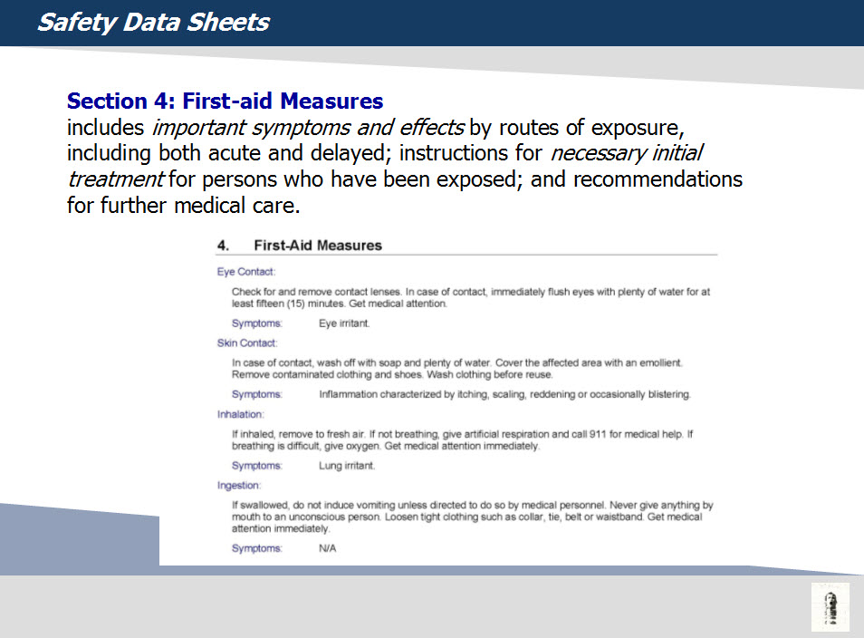 Slide describing example section from SDS 